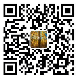 星空体育官网入口